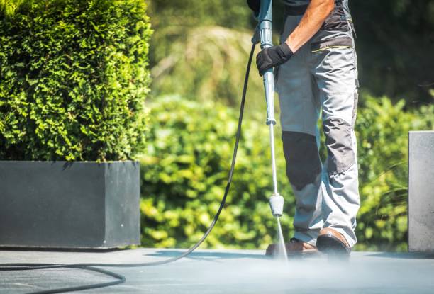 Animal Enclosure Cleaning in New Rochelle, NY